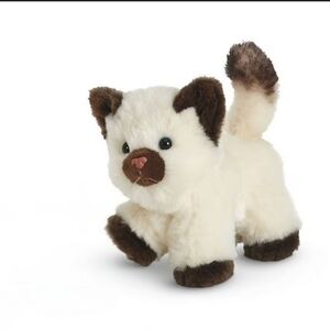 American Girl Himalayan Kitten